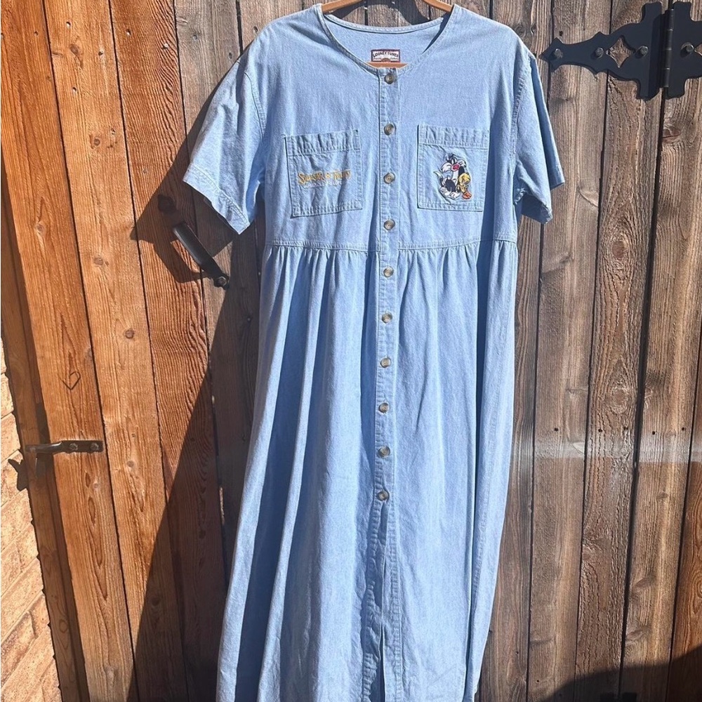 Blue Denim Button-Up Dress with Embroidery Tweety Bird